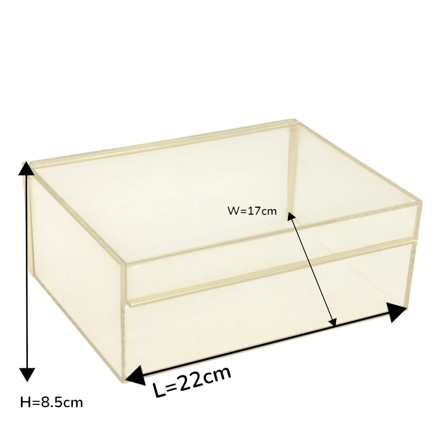 Vague Clear Acrylic Serving Tray – Minimalist Organizer for Kitchen, Office, Vanity & Events - Damoo