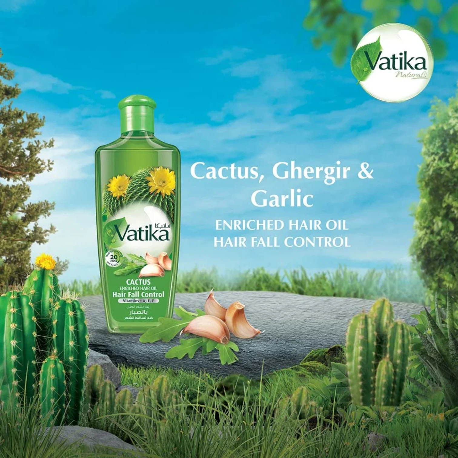 Vatika Naturals Cactus Enriched Hair Oil – 300ml | With Cactus, Ginger & Garlic Extracts | Strengthens Hair, Reduces Breakage & Boosts Shine | Sulphate & Paraben Free | For All Hair Types - Damoo